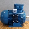 萬(wàn)高WEG 萬(wàn)高電機(jī)