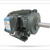東芝電機IKH3-FBKK(W)21E轉(zhuǎn)速2890 0.75KW全封閉式外冷IP55